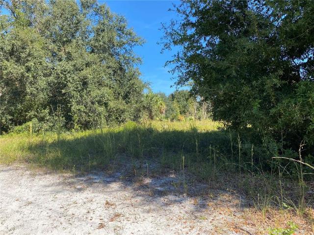 Land for sale in Anthony, Florida