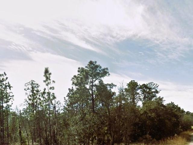 Land for sale in Williston, Levy County