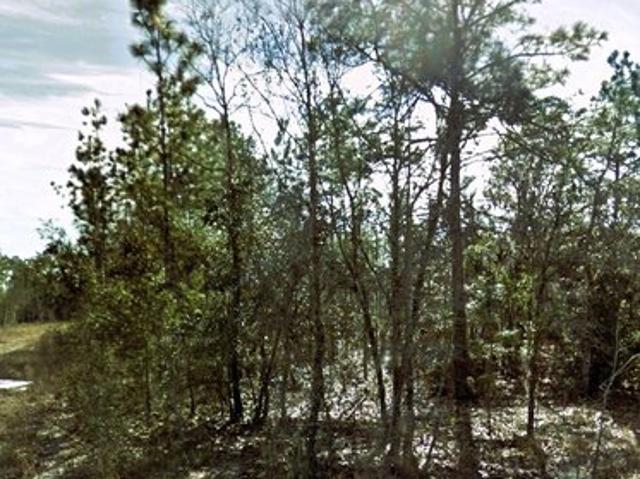 Land for sale in Williston, Levy County