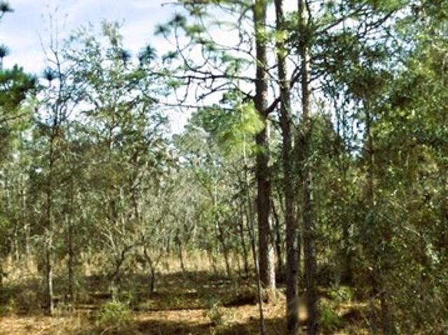Land for sale in Williston, Levy County