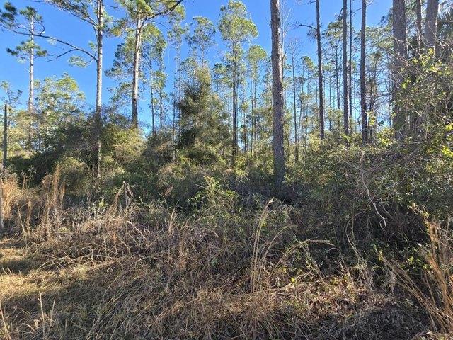 Land for sale in Dixie, Florida