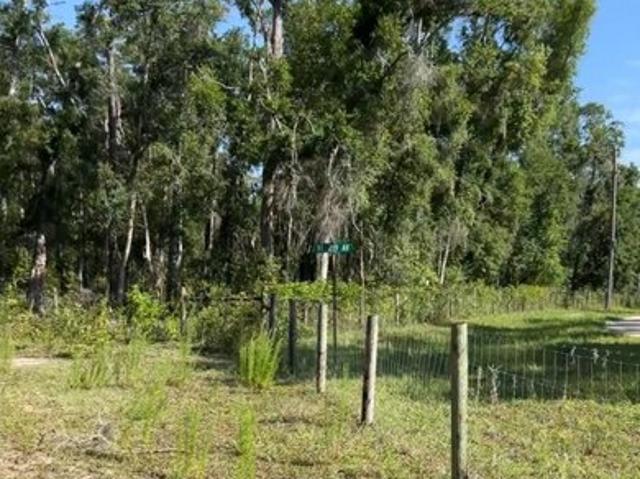 Land for sale in Dixie, Florida