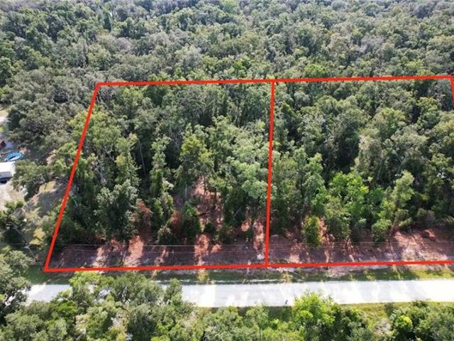 Land for sale in Dixie, Florida