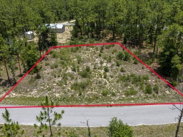 Land for sale in Morriston, Florida