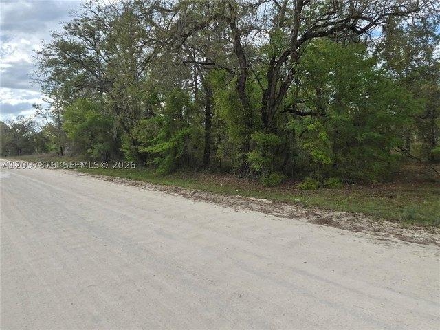 Land for sale in Williston, Levy County