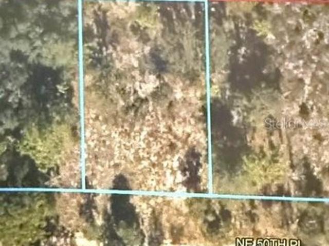 Land for sale in Williston, Levy County