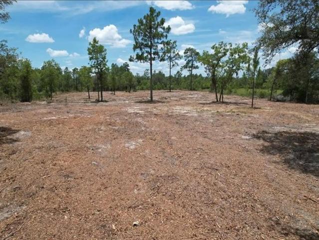 Land for sale in Bronson, Florida