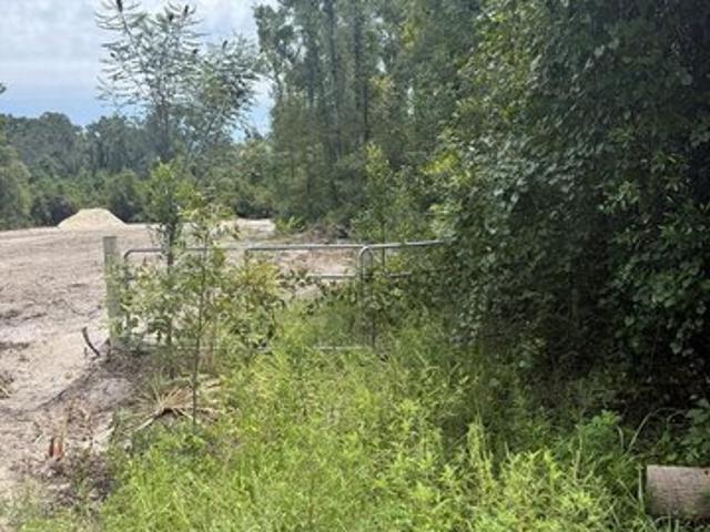 Land for sale in Dixie, Florida