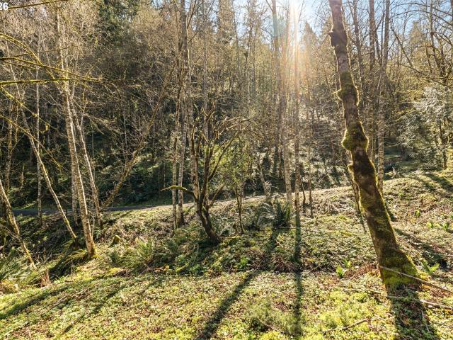 Land for sale in Washougal, Washington