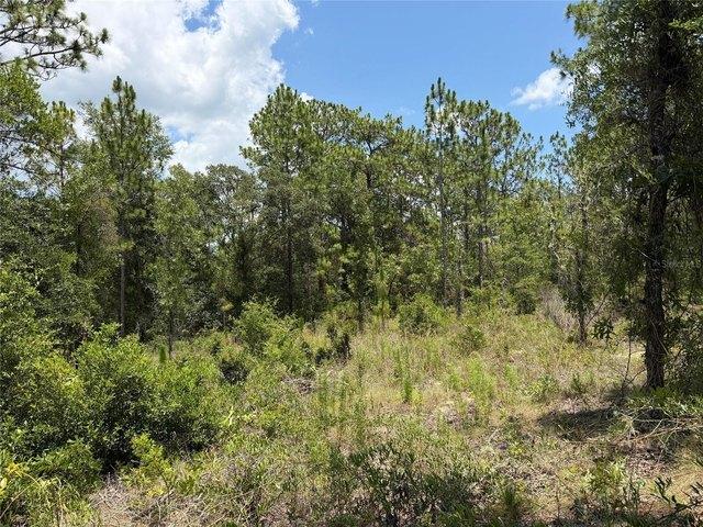 Land for sale in Morriston, Florida