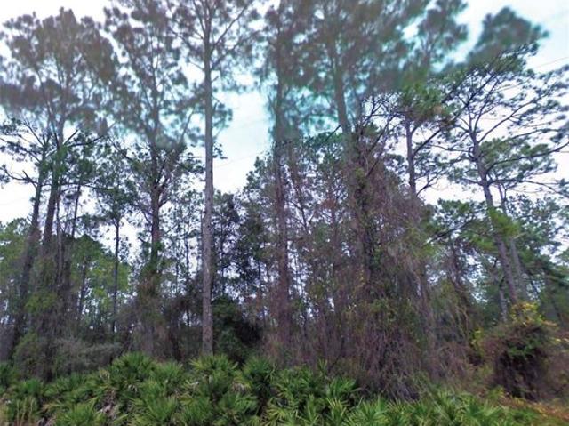 Land for sale in Anthony, Florida