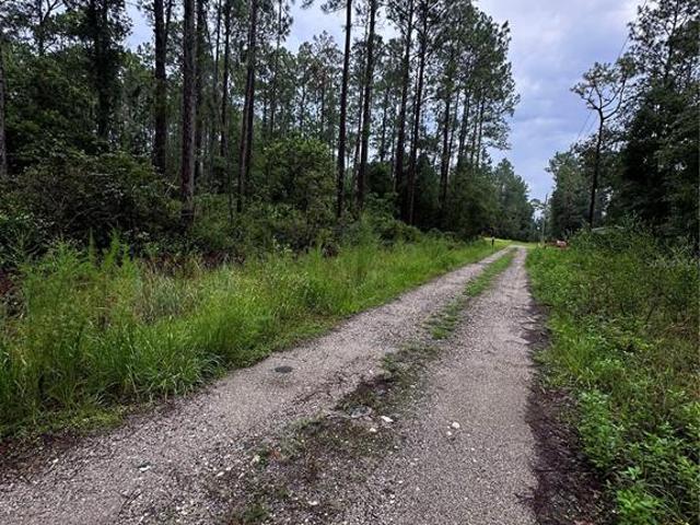 Land for sale in Anthony, Florida