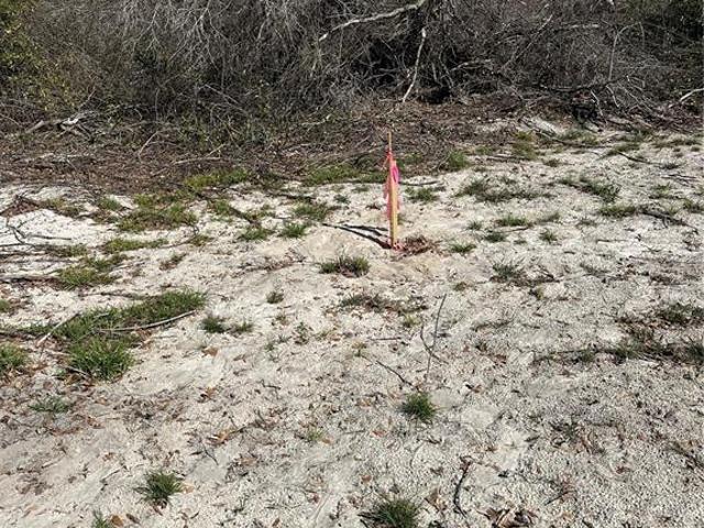 Land for sale in Dixie, Florida