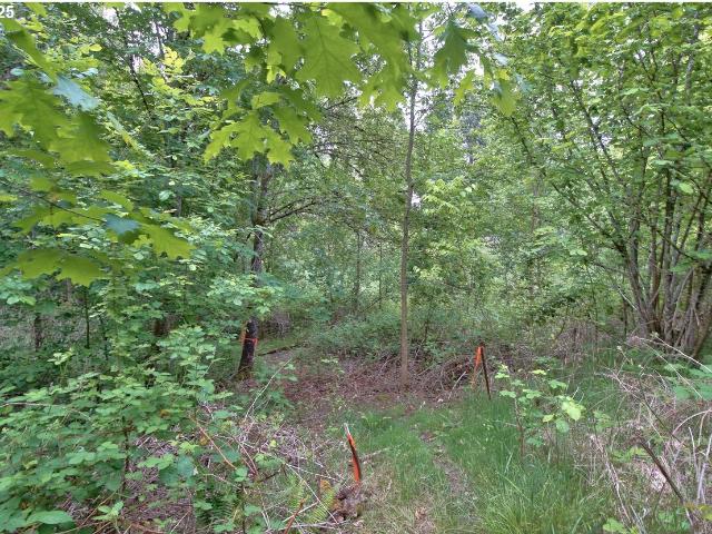 Land for sale in Hillsboro