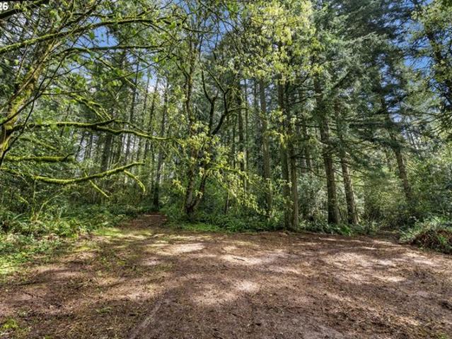 Land for sale in La Center, Washington