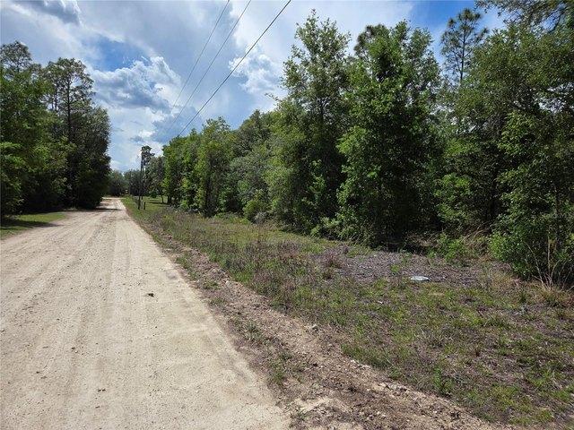 Land for sale in Bronson, Florida
