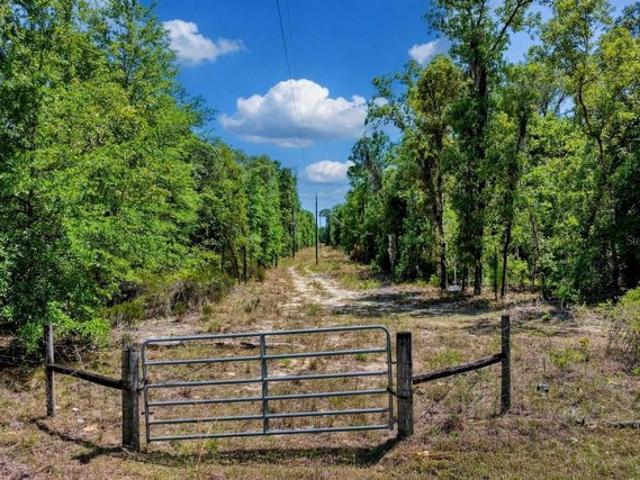 Land for sale in Morriston, Florida