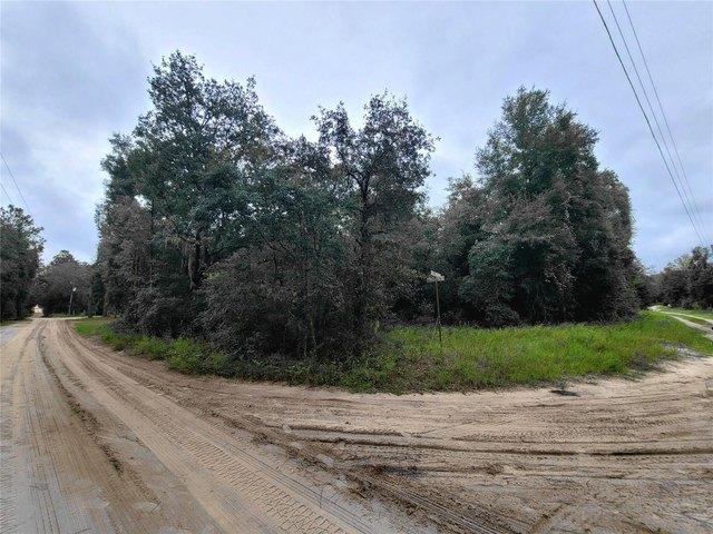 Land for sale in Bronson, Florida
