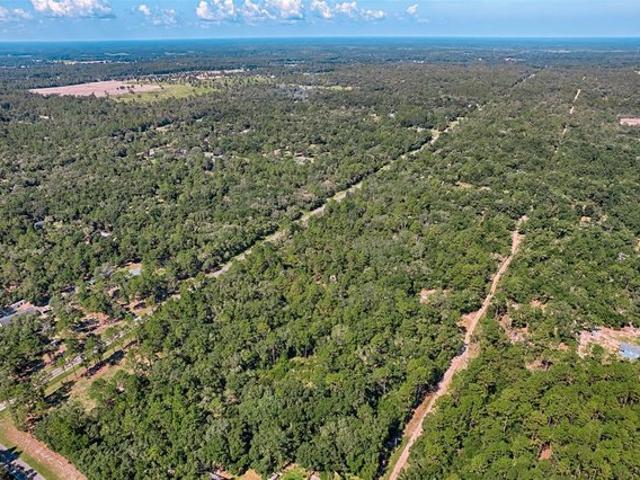 Land for sale in Bronson, Florida