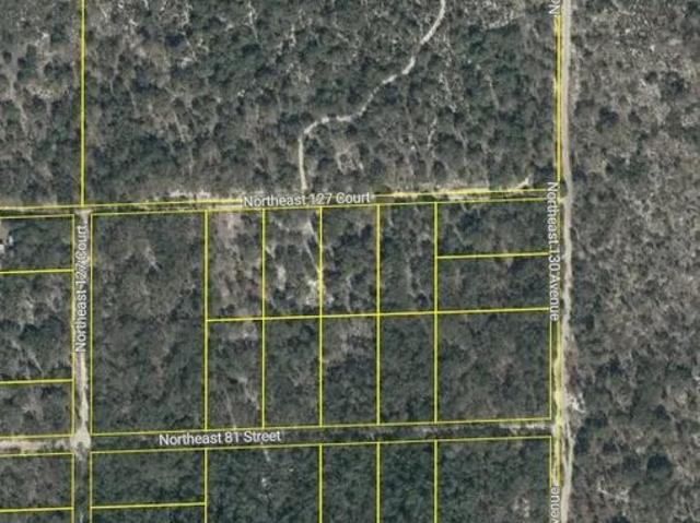 Land for sale in Bronson, Florida