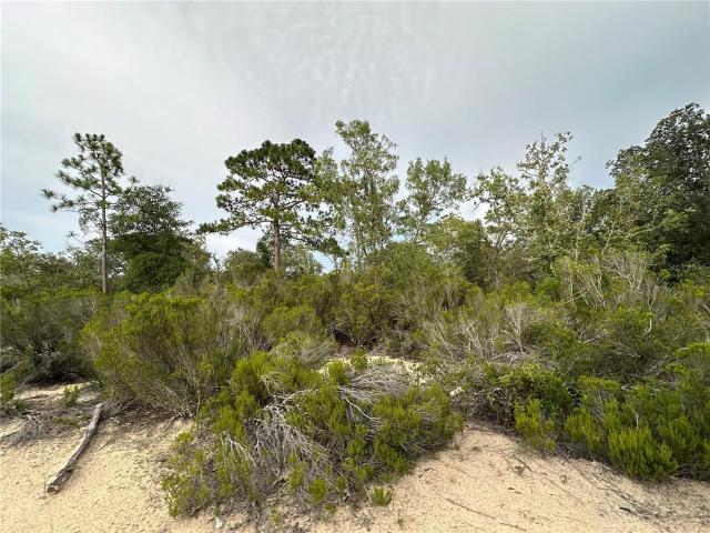Property for sale in Bronson, Florida