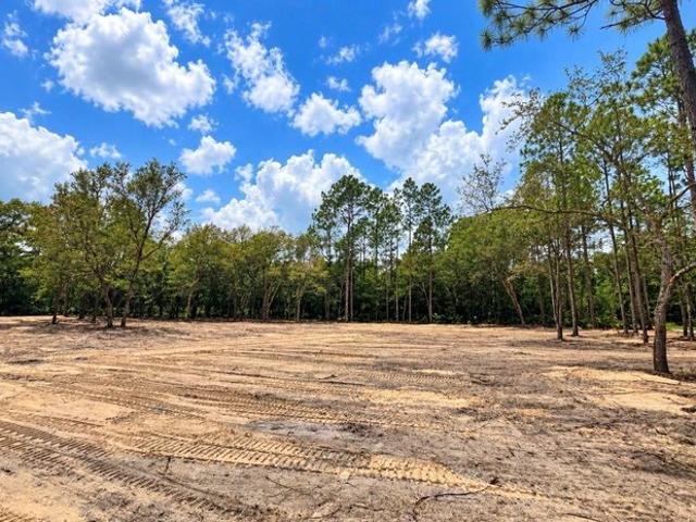 Land for sale in Bronson, Florida