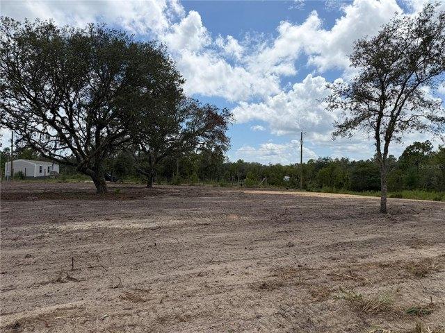 Land for sale in Bronson, Florida