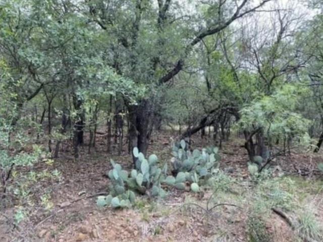 Land for sale in Mineral Wells, Texas