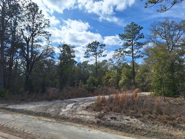 Land for sale in Bronson, Florida