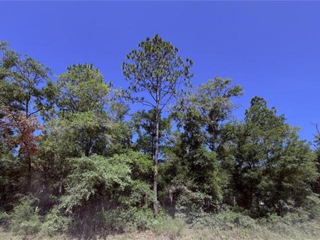 Land for sale in Bronson, Florida
