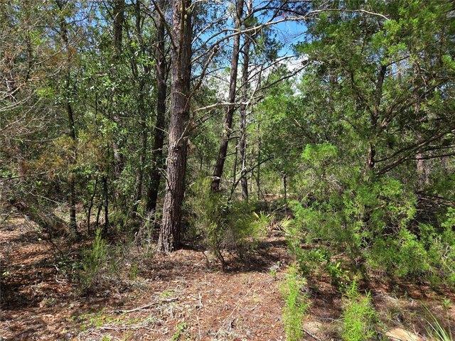 Land for sale in Archer, Florida