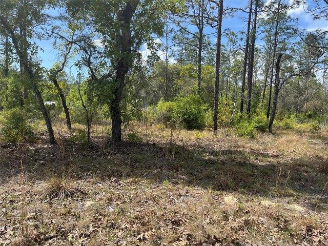 Land for sale in Bronson, Florida