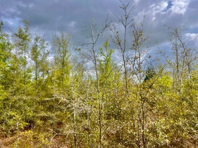 Property for sale in Dixie, Florida