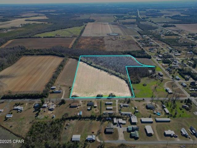 Land for sale in Altha