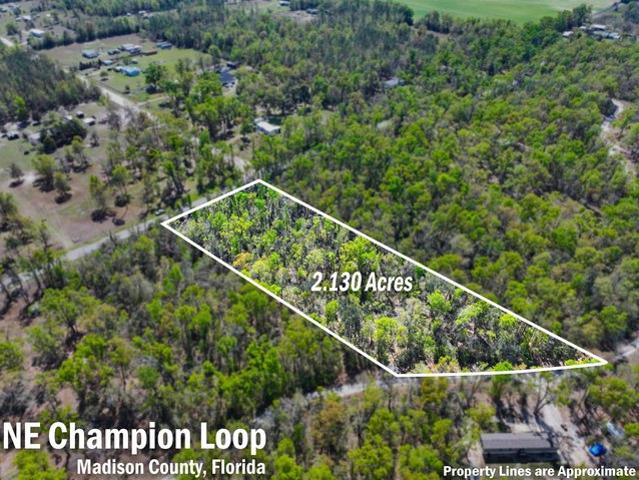 Land for sale in Lee, Florida