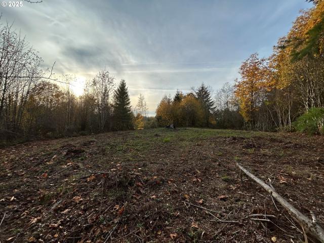 Land for sale in Yacolt, Washington