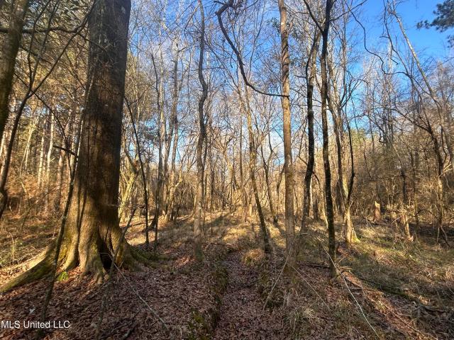 Land for sale in Wesson, Mississippi