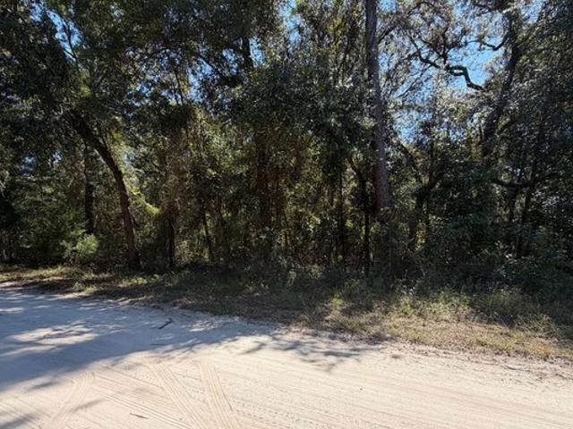 Land for sale in Branford, Suwannee County