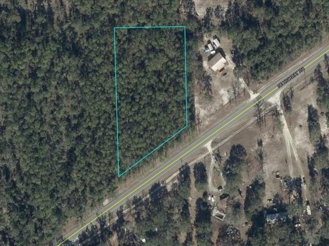 Land for sale in Dixie, Florida