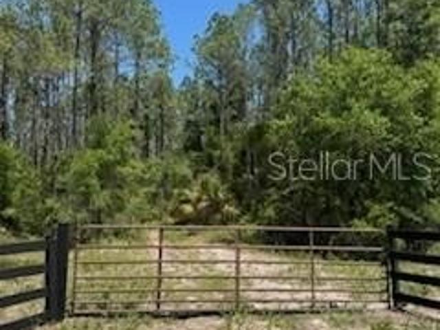 Land for sale in Dixie, Florida