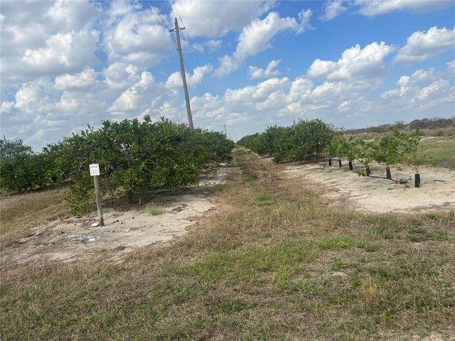 Land for sale in Arcadia, Florida
