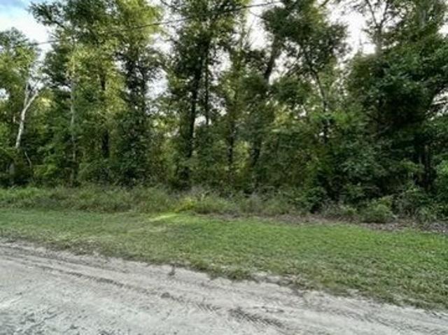 Land for sale in Mayo, Florida