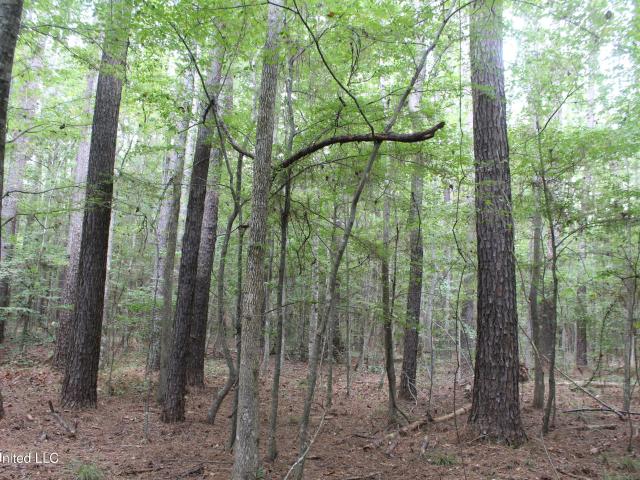 Land for sale in Bogue Chitto, Mississippi