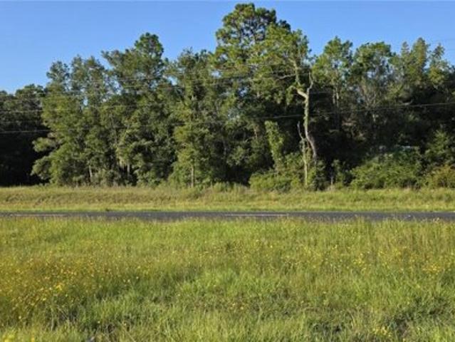 Land for sale in Bronson