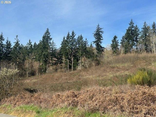Land for sale in La Center, Clark County