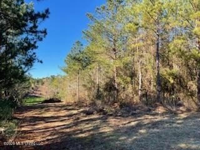 Land for sale in Bogue Chitto, Mississippi