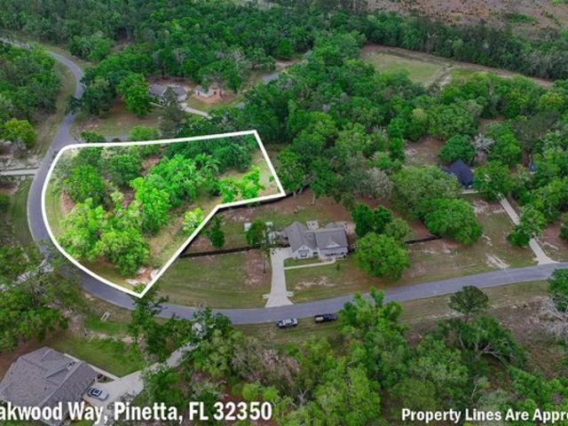 Land for sale in Pinetta, Madison County