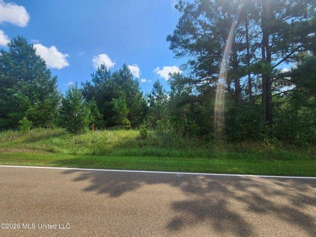 Land for sale in Wesson, Copiah County