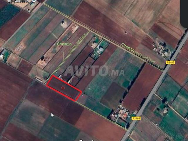 Propriété vente à El Ma, Gharb-Chrarda-Beni Hssen