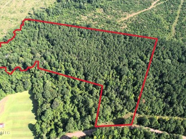 Land for sale in Sontag, Mississippi
